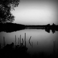 /album/bisnolodon/photolia-b01-jpg/